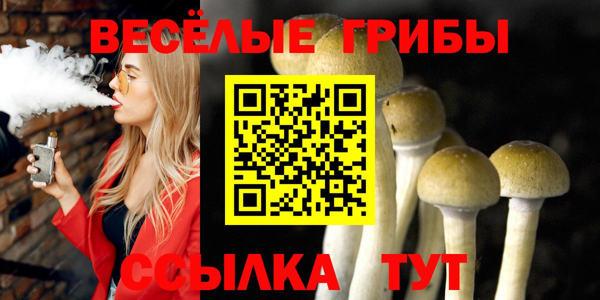 Псилоцибиновые грибы Cubensis  закладка  Волжский  Вход с VPN  Псилоцибиновые грибы MAGIC MUSHROOMS 